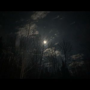 Meet your Posher, Monique